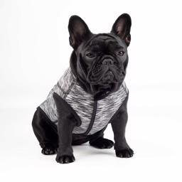 Rogz Comfyskin Lifestyle til Aktive Hunde Grå